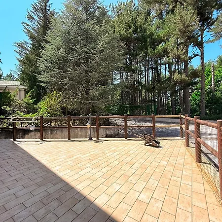 La Casa Nel Bosco - Panoramico A Nel Cuore Del Parco Della Majella *