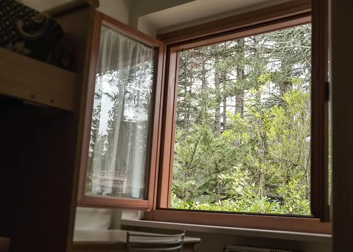 Διαμέρισμα La Casa Nel Bosco - Panoramico A Nel Cuore Del Parco Della Majella Campo di Giove